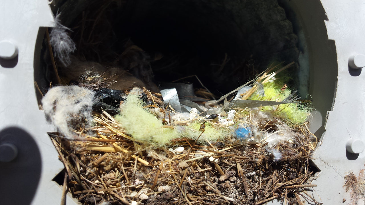 Dirty dryer vent, a safety hazard